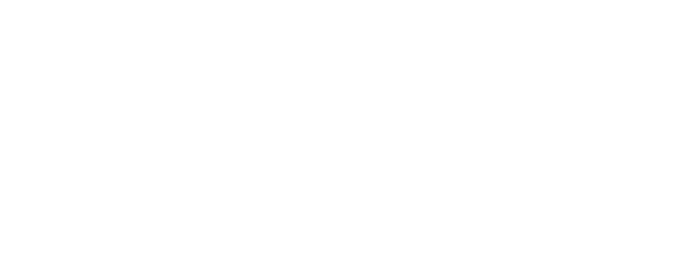 Pole Blanc logo