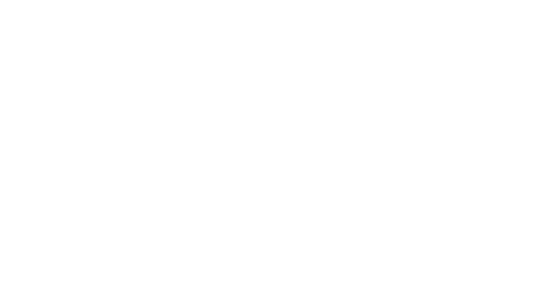 Boldwin_logo_blanc_transparent_1920x1080